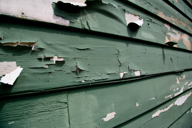 Best Fascia and Soffit Installation  in Riva, MD